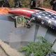 Illustration for article titled Ken Block crashed at Lake Superior Performance Rally...